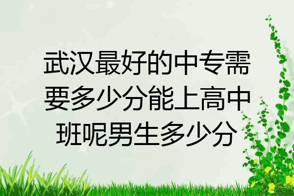 武汉最好的中专需要多少分能上高中班呢男生多少分