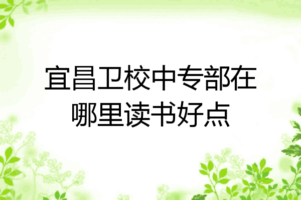 宜昌卫校中专部在哪里读书好点