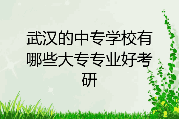 武汉的中专学校有哪些大专专业好考研