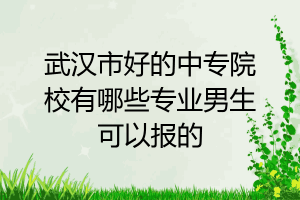 武汉市好的中专院校有哪些专业男生可以报的