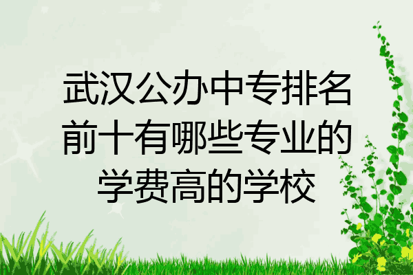 武汉公办中专排名前十有哪些专业的学费高的学校