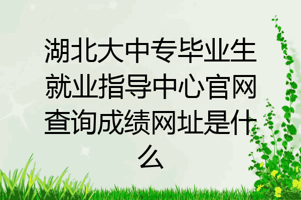 湖北大中专毕业生就业指导中心官网查询成绩网址是什么