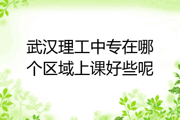 武汉理工中专在哪个区域上课好些呢