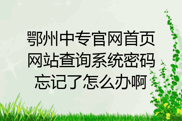 鄂州中专官网首页网站查询系统密码忘记了怎么办啊