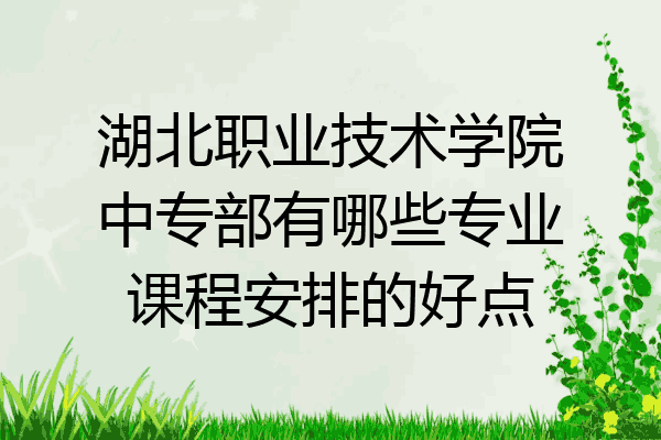 湖北职业技术学院中专部有哪些专业课程安排的好点