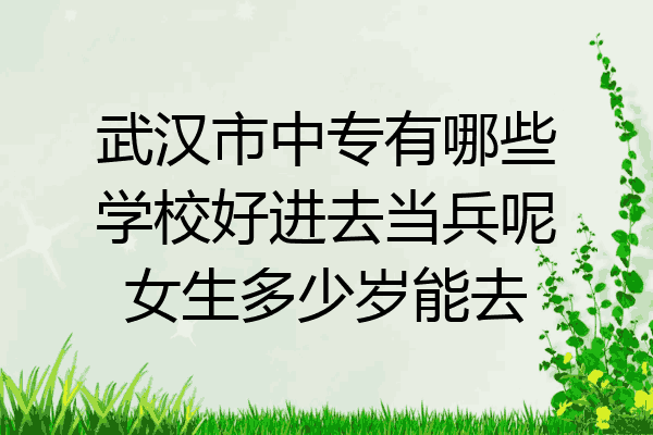 武汉市中专有哪些学校好进去当兵呢女生多少岁能去