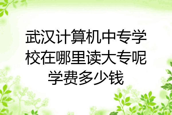 武汉计算机中专学校在哪里读大专呢学费多少钱