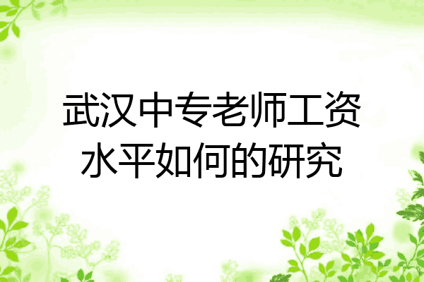 武汉中专老师工资水平如何的研究