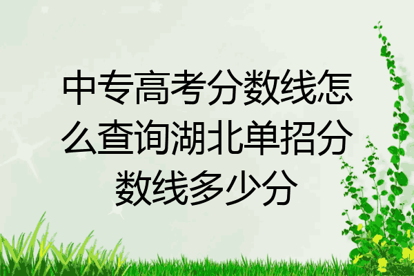 中专高考分数线怎么查询湖北单招分数线多少分
