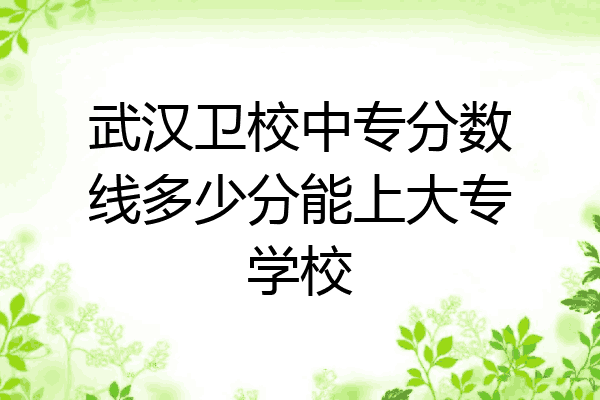 武汉卫校中专分数线多少分能上大专学校