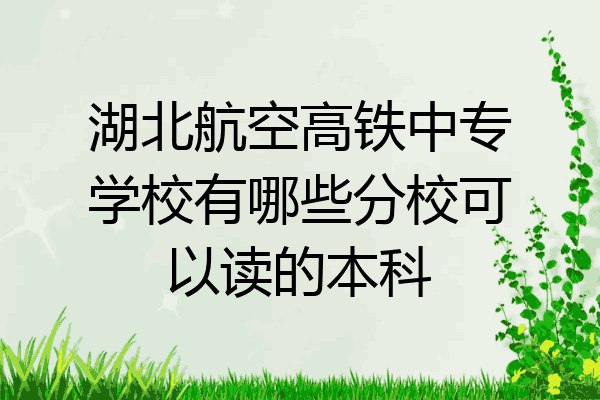 湖北航空高铁中专学校有哪些分校可以读的本科