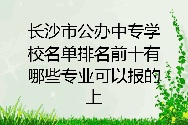 长沙市公办中专学校名单排名前十有哪些专业可以报的上