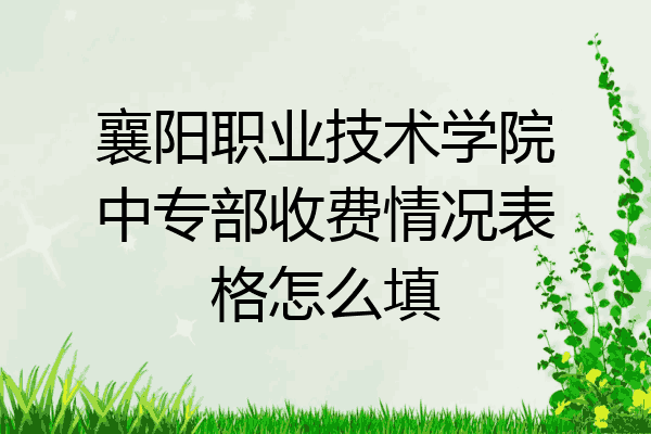 襄阳职业技术学院中专部收费情况表格怎么填