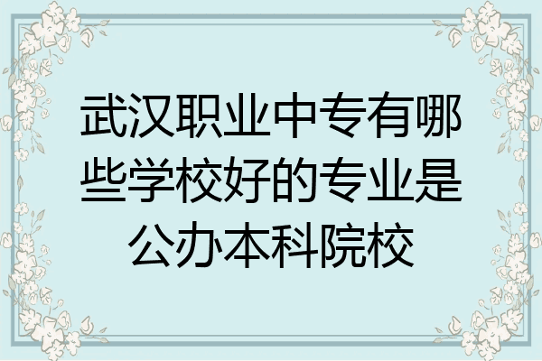 武汉职业中专有哪些学校好的专业是公办本科院校