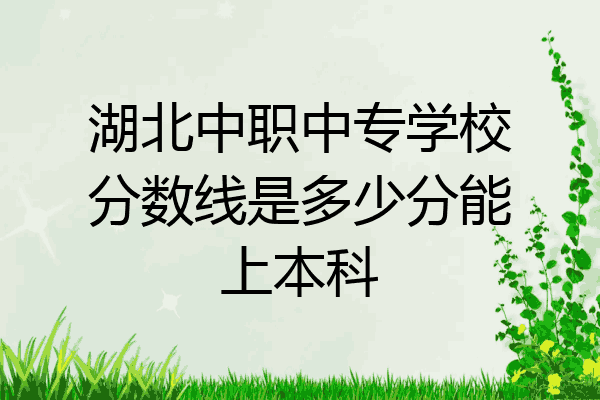 湖北中职中专学校分数线是多少分能上本科