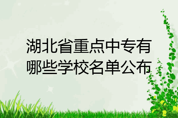 湖北省重点中专有哪些学校名单公布