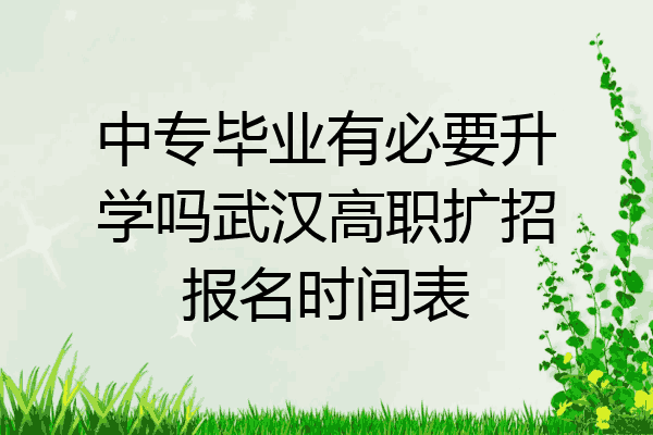 中专毕业有必要升学吗武汉高职扩招报名时间表