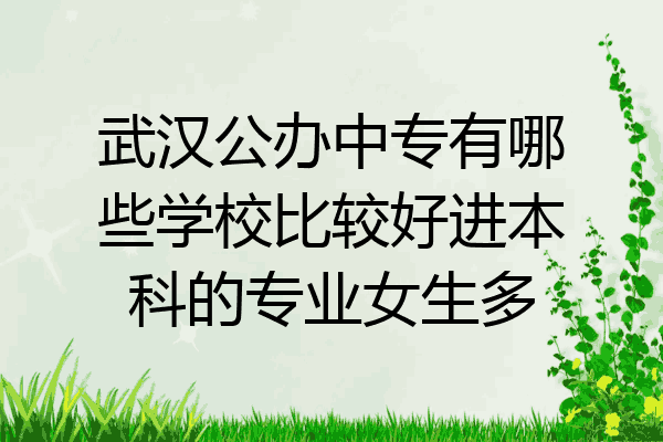 武汉公办中专有哪些学校比较好进本科的专业女生多