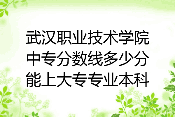 武汉职业技术学院中专分数线多少分能上大专专业本科