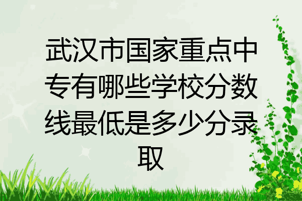 武汉市国家重点中专有哪些学校分数线最低是多少分录取