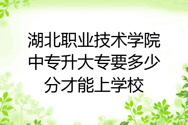 湖北职业技术学院中专升大专要多少分才能上学校