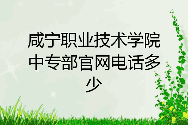 咸宁职业技术学院中专部官网电话多少