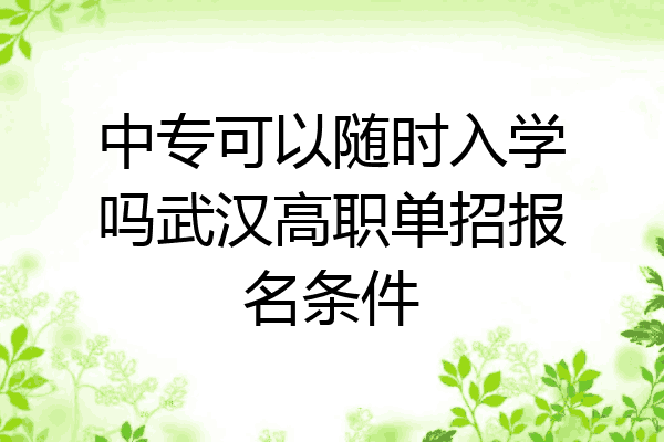 中专可以随时入学吗武汉高职单招报名条件