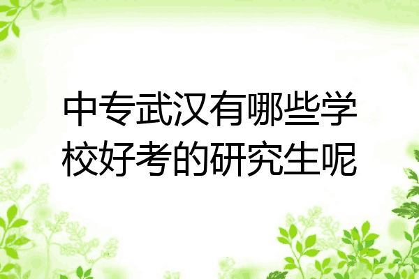 中专武汉有哪些学校好考的研究生呢