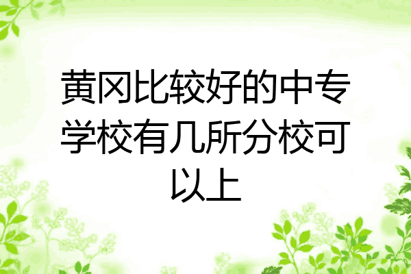 黄冈比较好的中专学校有几所分校可以上