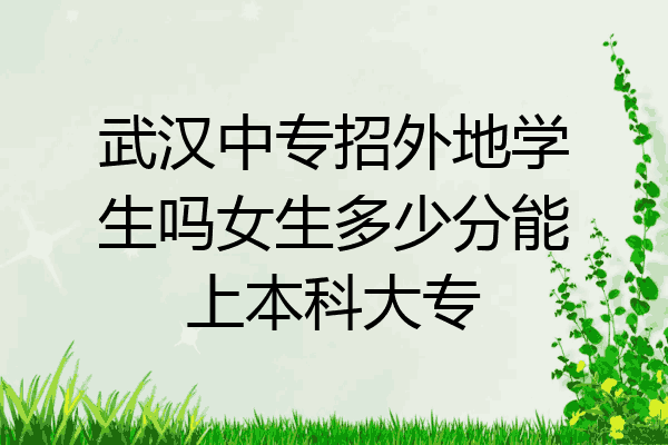 武汉中专招外地学生吗女生多少分能上本科大专