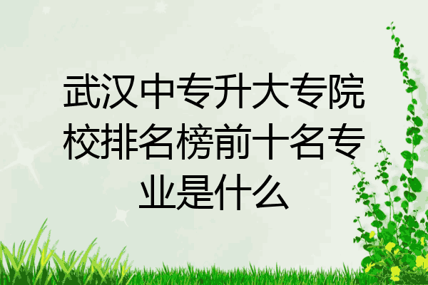 武汉中专升大专院校排名榜前十名专业是什么