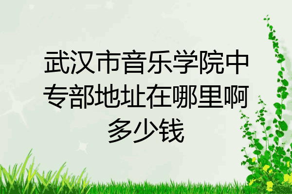 武汉市音乐学院中专部地址在哪里啊多少钱