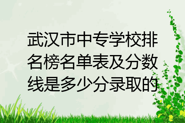 武汉市中专学校排名榜名单表及分数线是多少分录取的