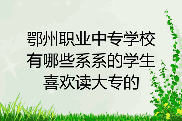 鄂州职业中专学校有哪些系系的学生喜欢读大专的