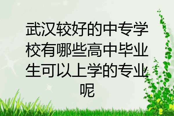 武汉较好的中专学校有哪些高中毕业生可以上学的专业呢
