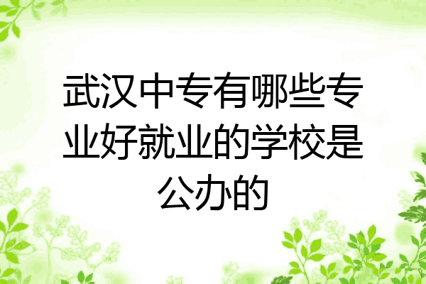 武汉中专有哪些专业好就业的学校是公办的