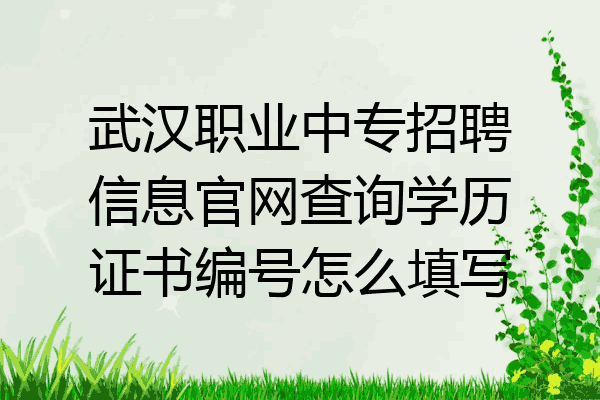武汉职业中专招聘信息官网查询学历证书编号怎么填写