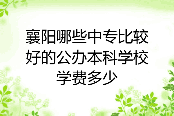 襄阳哪些中专比较好的公办本科学校学费多少