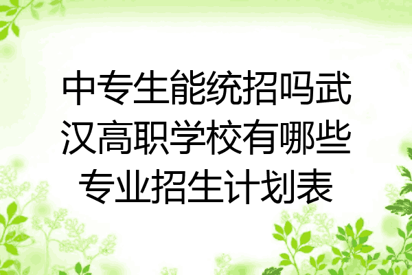 中专生能统招吗武汉高职学校有哪些专业招生计划表