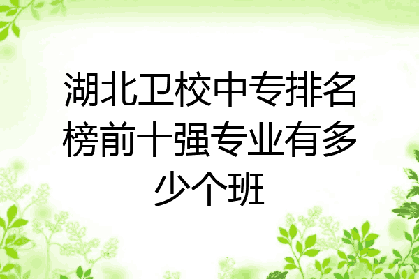 湖北卫校中专排名榜前十强专业有多少个班