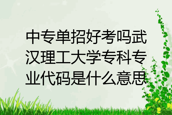 中专单招好考吗武汉理工大学专科专业代码是什么意思