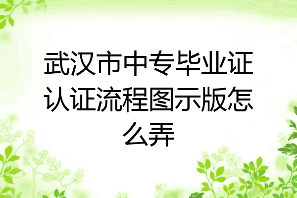 武汉市中专毕业证认证流程图示版怎么弄