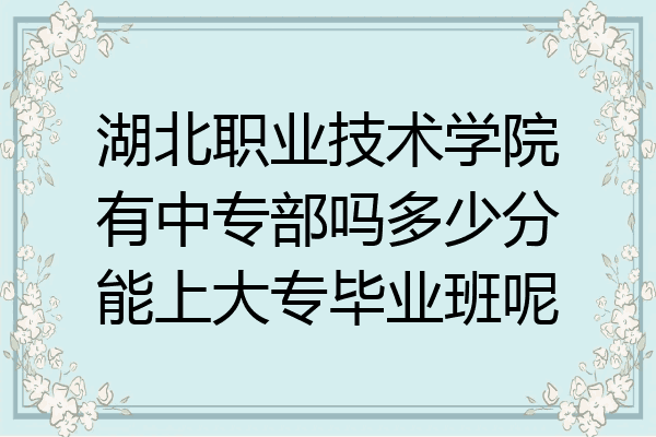 湖北职业技术学院有中专部吗多少分能上大专毕业班呢
