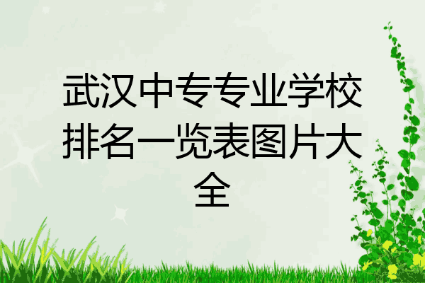武汉中专专业学校排名一览表图片大全