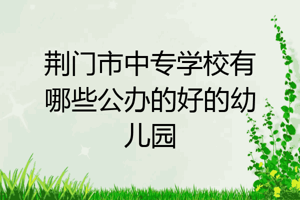 荆门市中专学校有哪些公办的好的幼儿园