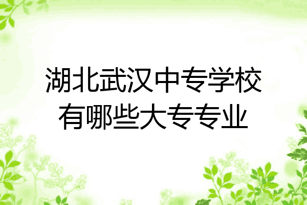 湖北武汉中专学校有哪些大专专业