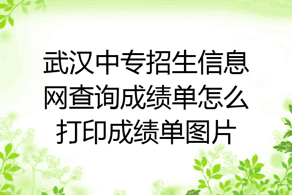 武汉中专招生信息网查询成绩单怎么打印成绩单图片