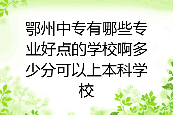鄂州中专有哪些专业好点的学校啊多少分可以上本科学校