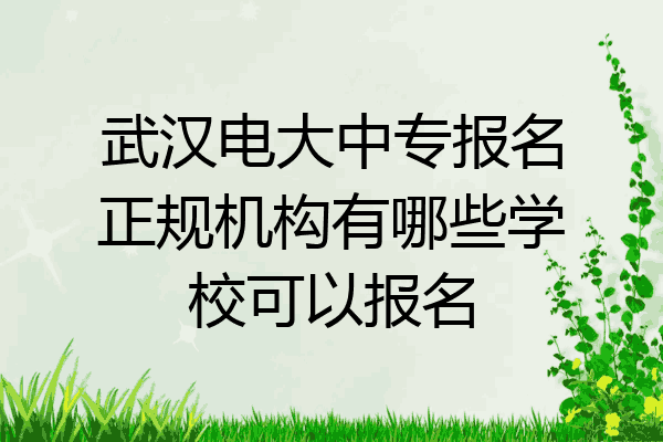 武汉电大中专报名正规机构有哪些学校可以报名