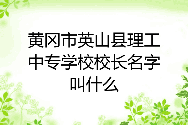 黄冈市英山县理工中专学校校长名字叫什么
